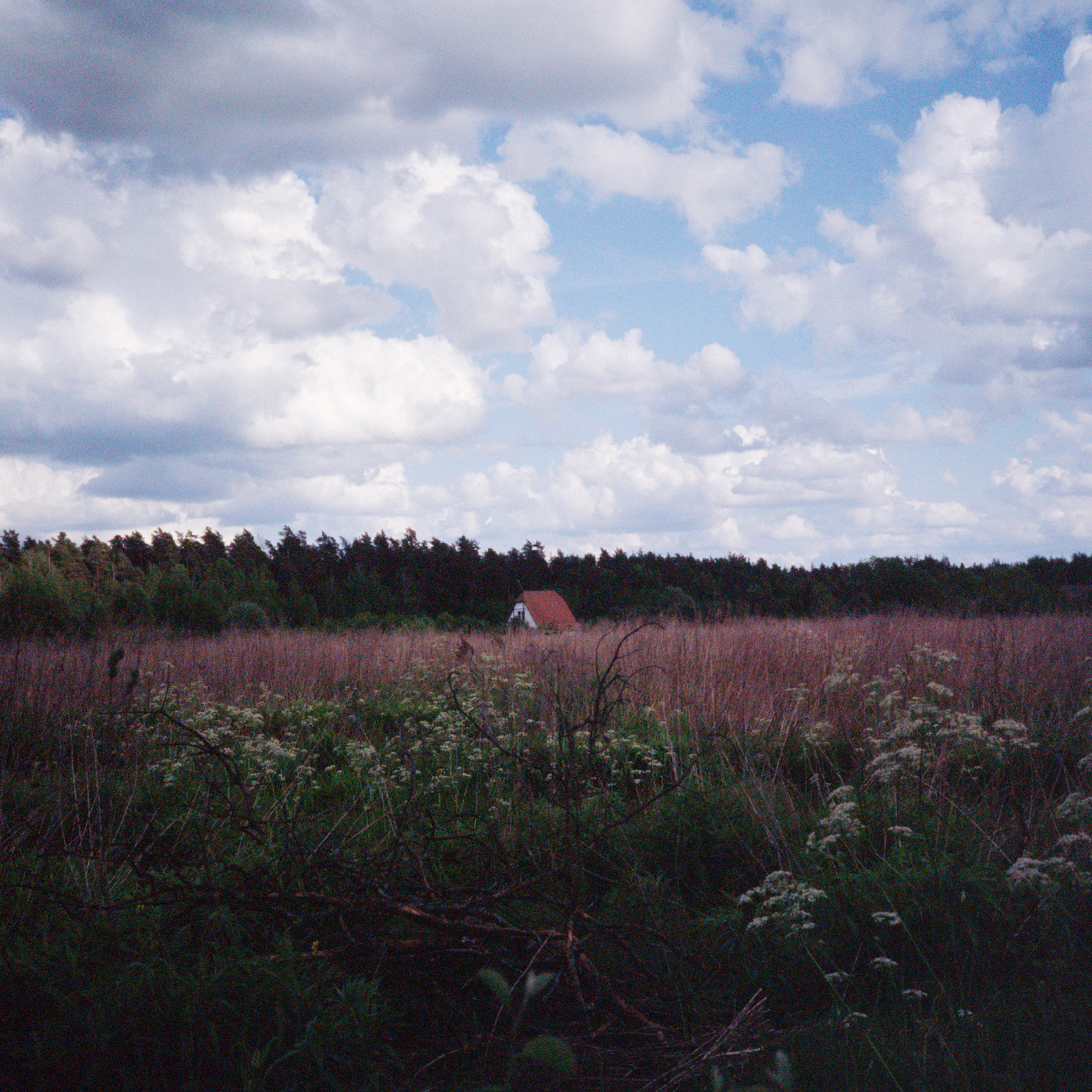 Kris Tiner &amp; Cathlene Pineda Sung (LP)