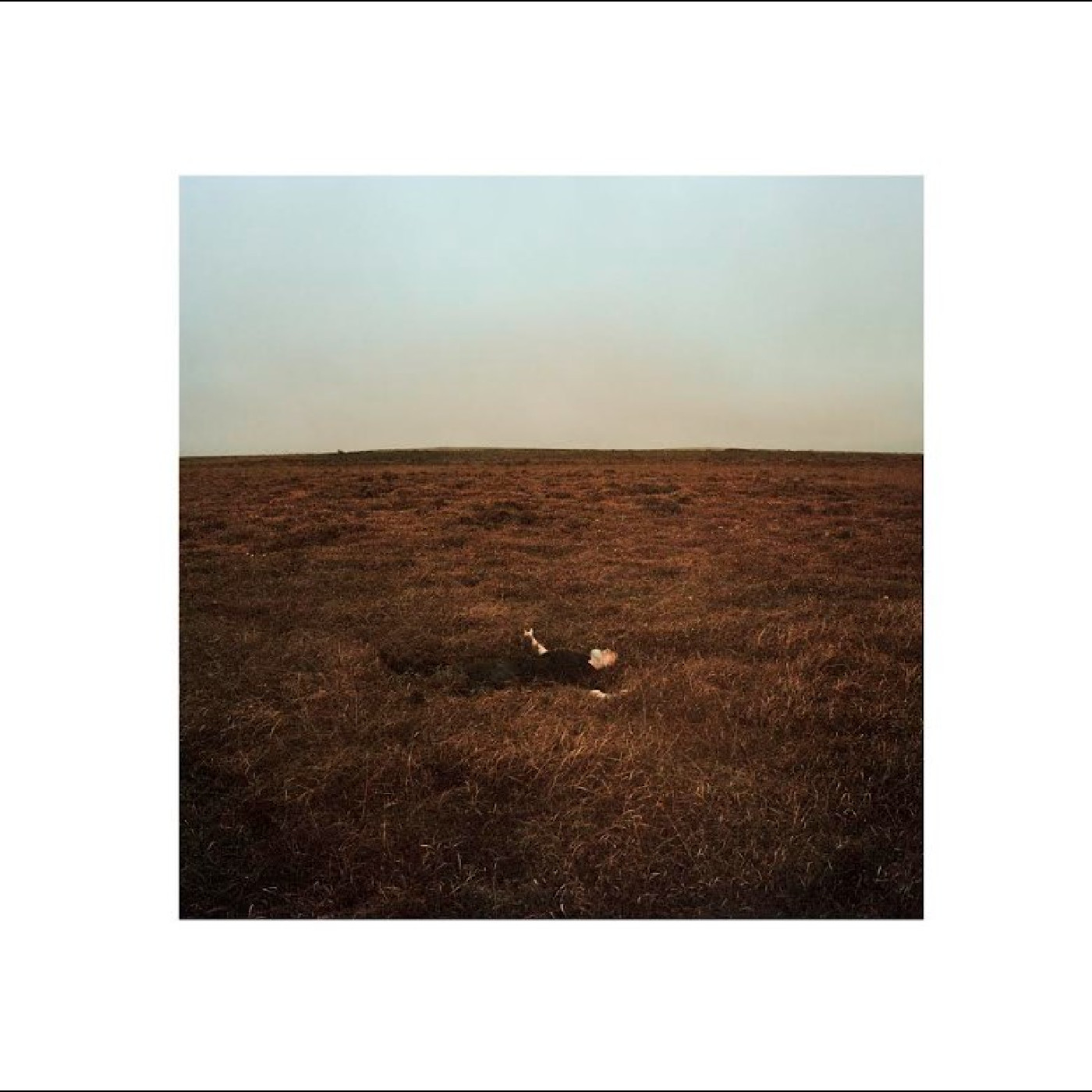 Fink The City Coming To Erase It All (LP)