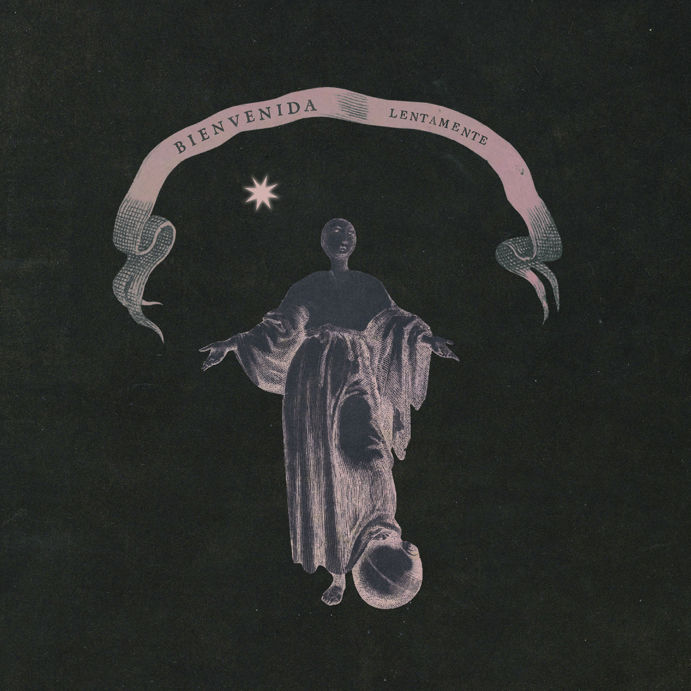 Lentamente Bienvenida - LTD (LP)