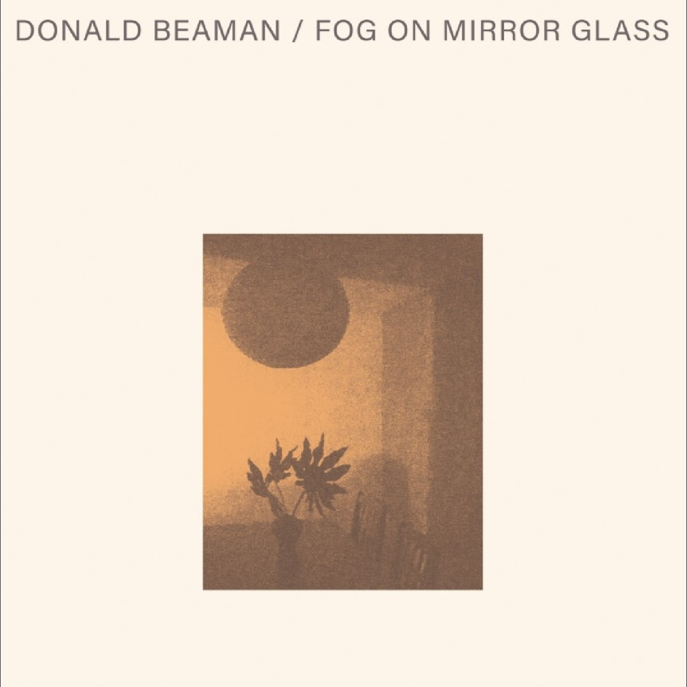 Donald Beaman Fog On Mirror Glass (LP)