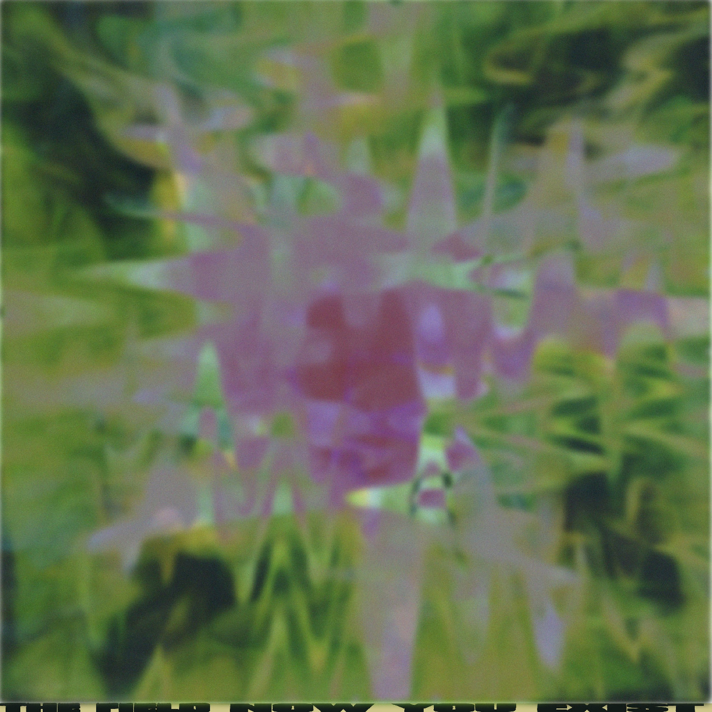 The Field Now You Exist (12")