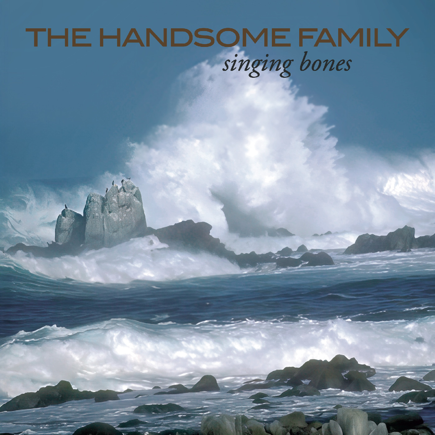 The Handsome Family Singing Bones (2LP)
