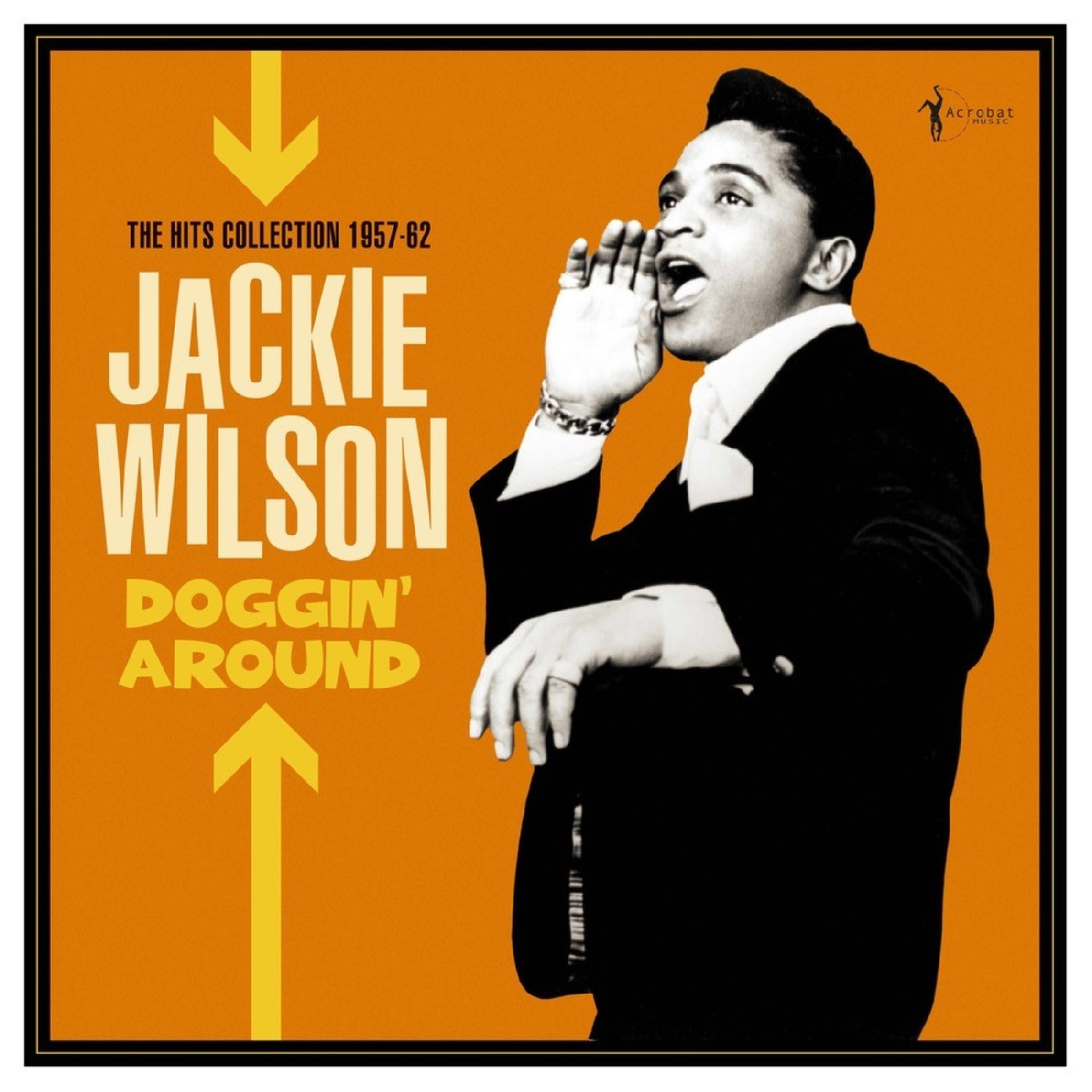 Jackie Wilson Doggin' Around: The Hits Collection…(LP)