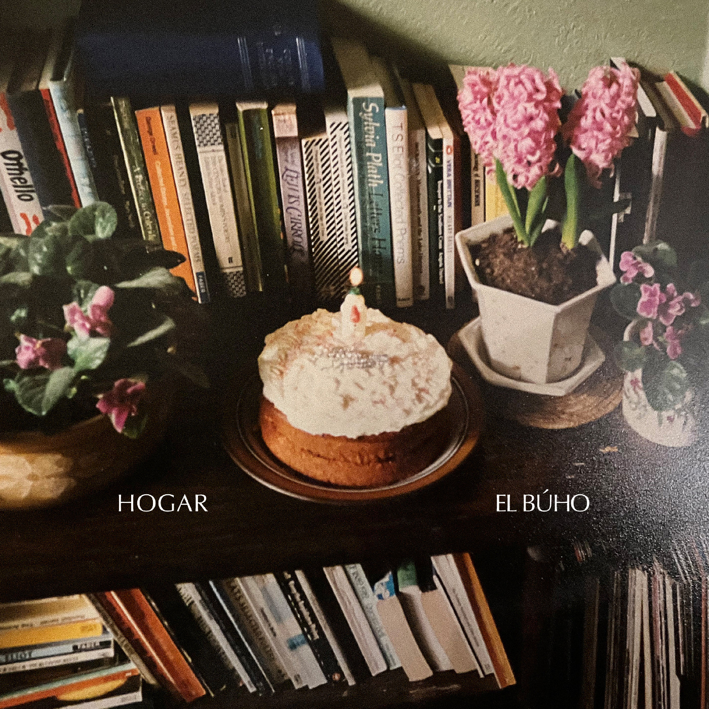 El Buho Hogar (LP)