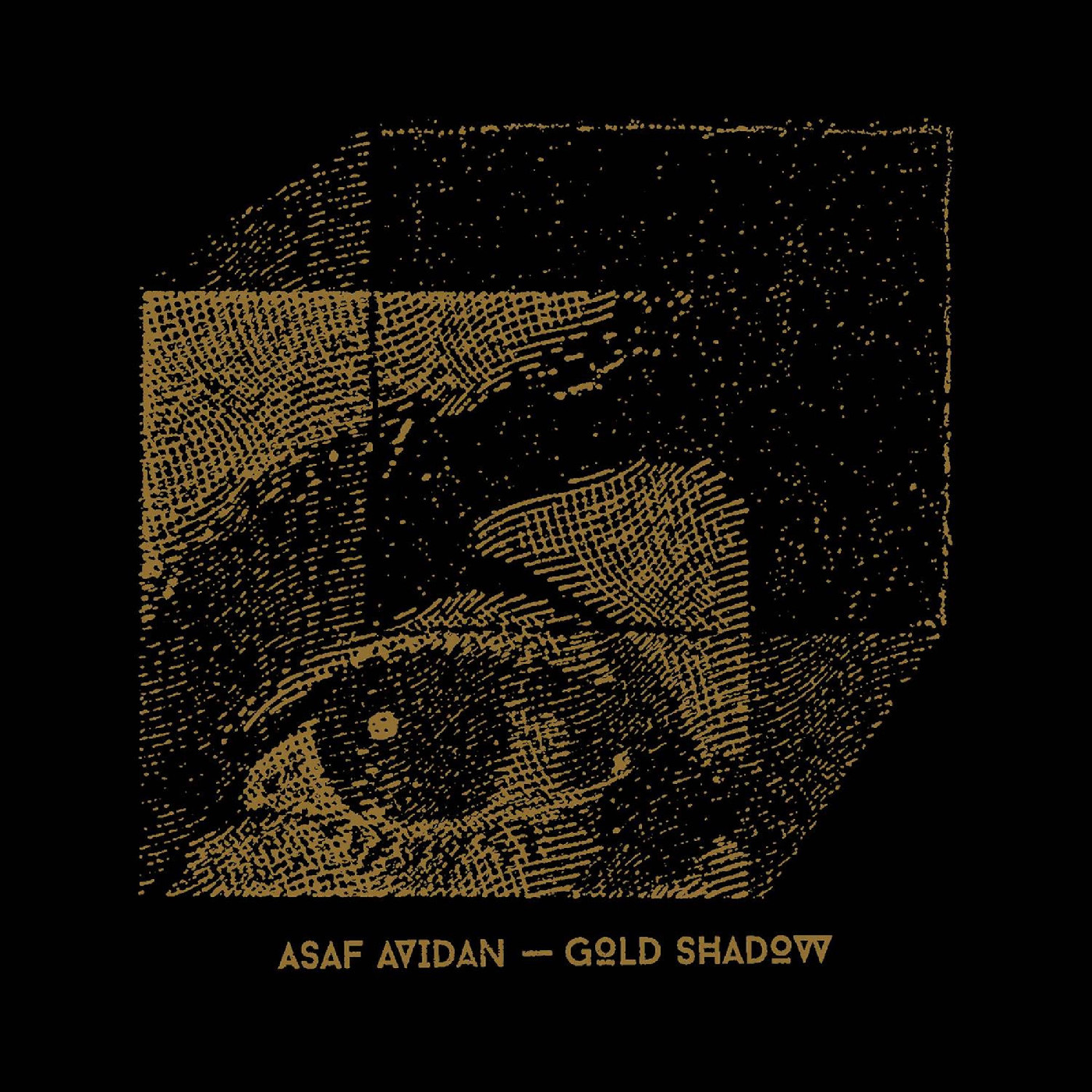 Asaf Avidan Gold Shadow (LP)