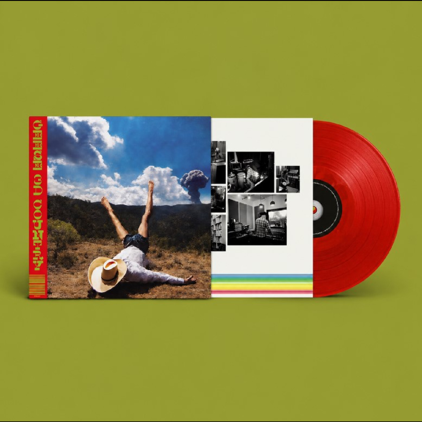 Geese 3d Country - LTD (LP)