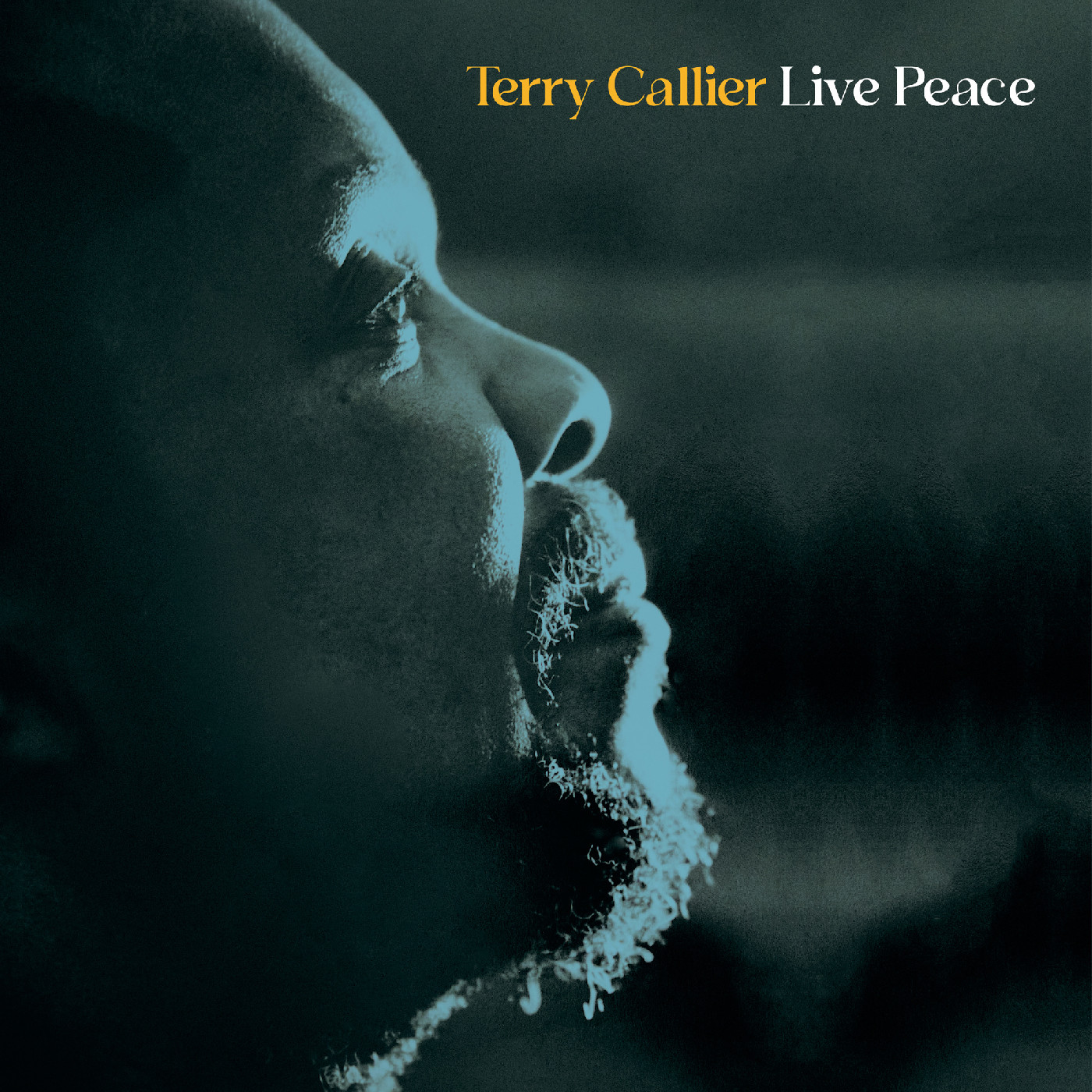 Terry Callier Live Peace (2LP)