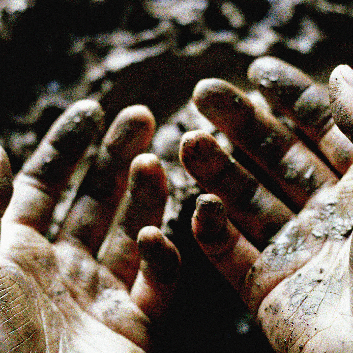 Dis Fig What To Make Of These Mortal Hands (LP)