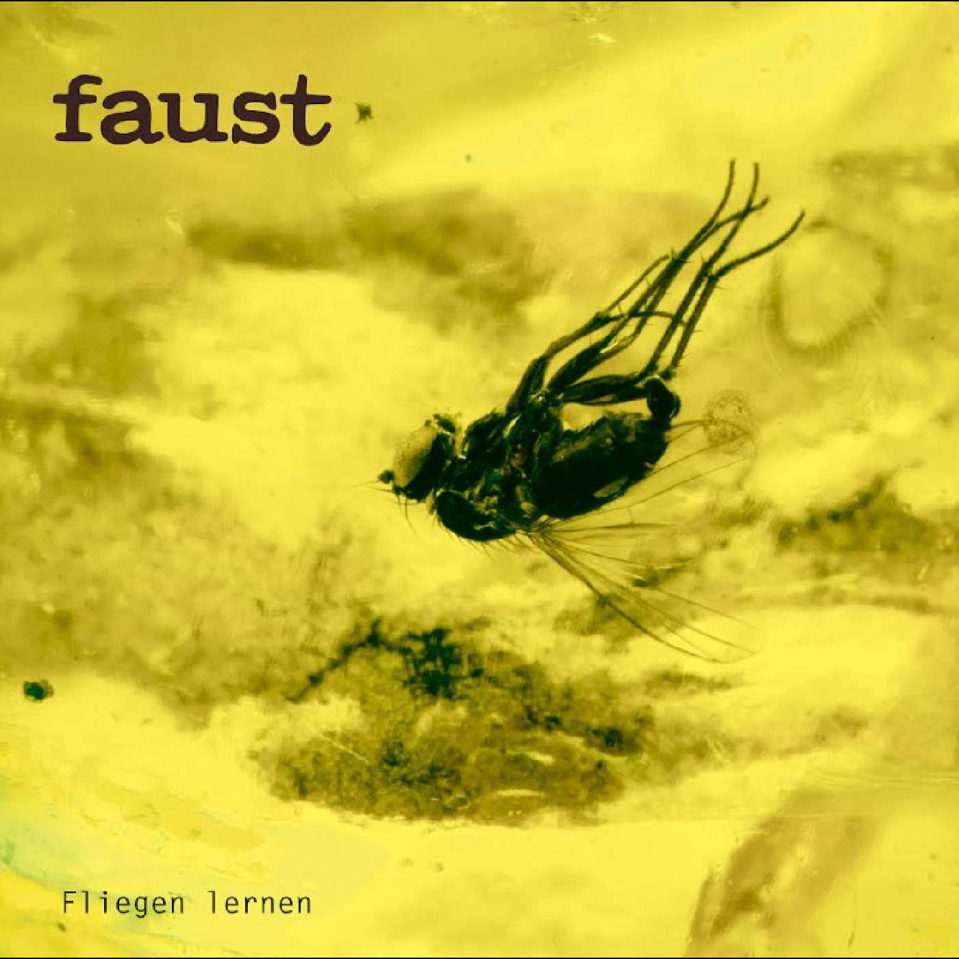 Faust Fliegen Lernen (LP)