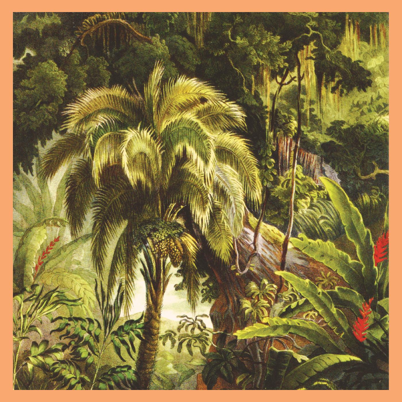 Xiu Xiu La Foret - LTD (LP)