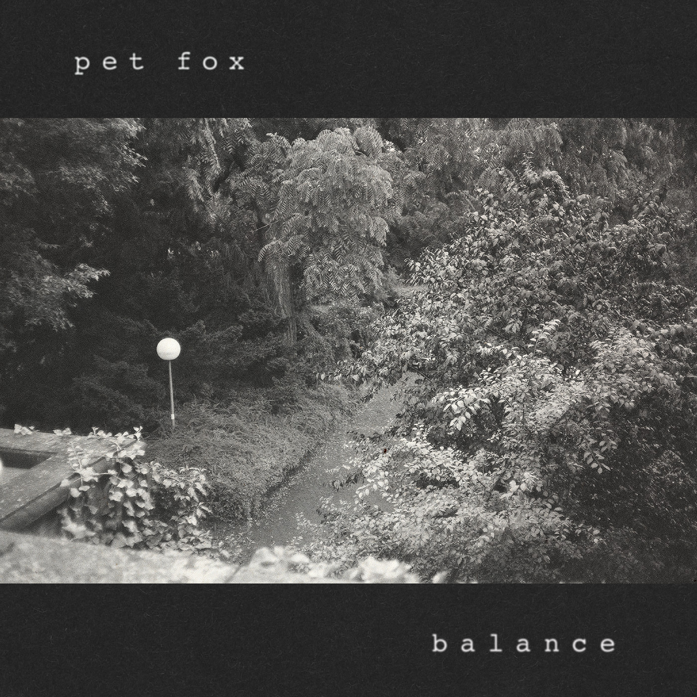 Pet Fox Balance - LTD (LP)