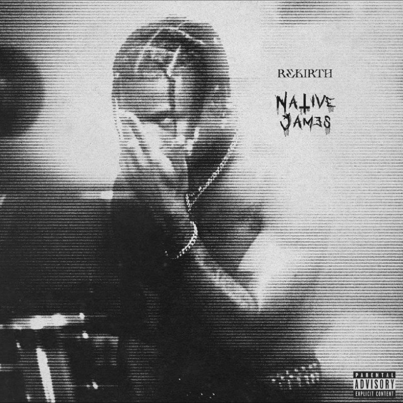Native James Rebirth (LP)