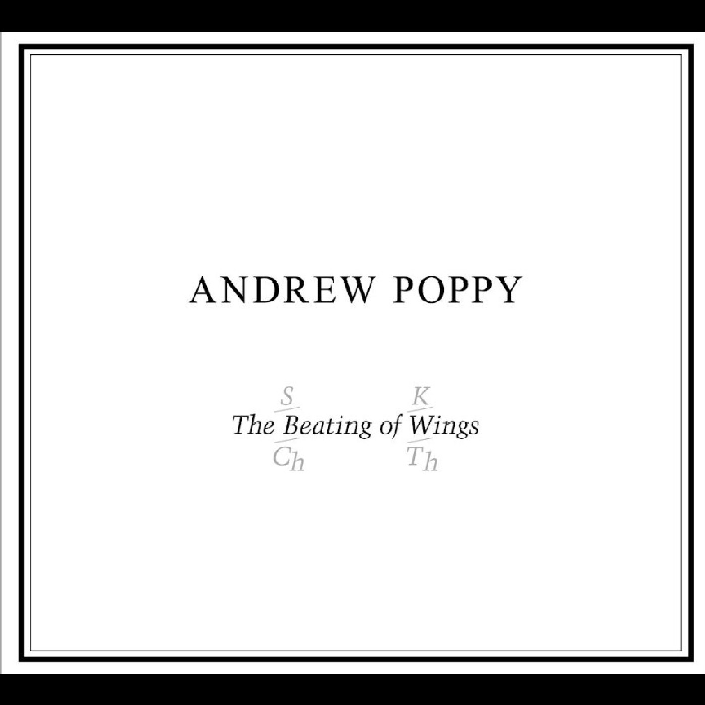 Andrew Poppy The Beating Of Wings (CD)