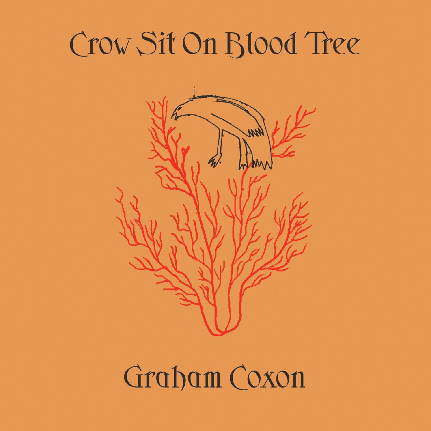 Graham Coxon Crow Sit On Blood Tree (2LP)