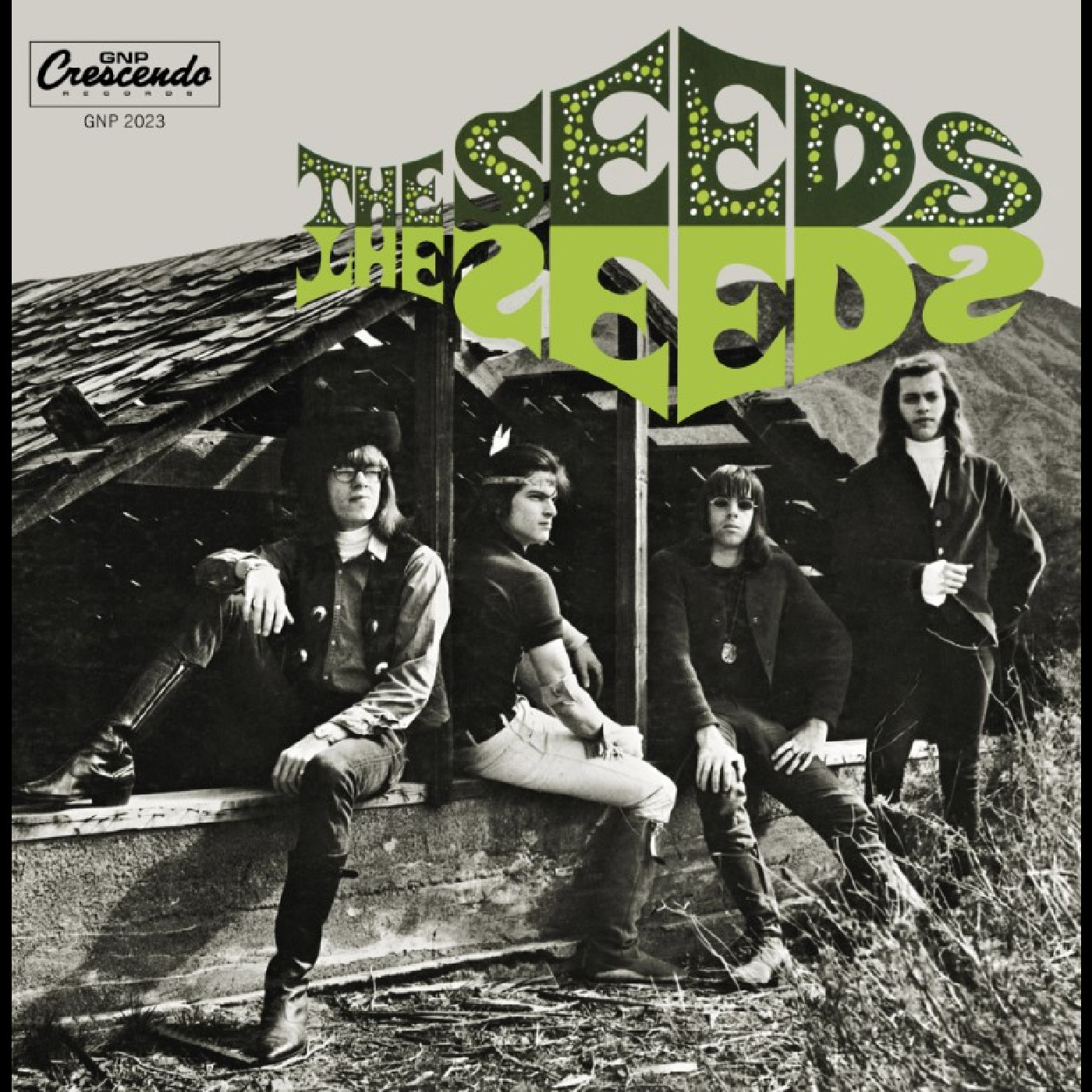The Seeds The Seeds (LP)