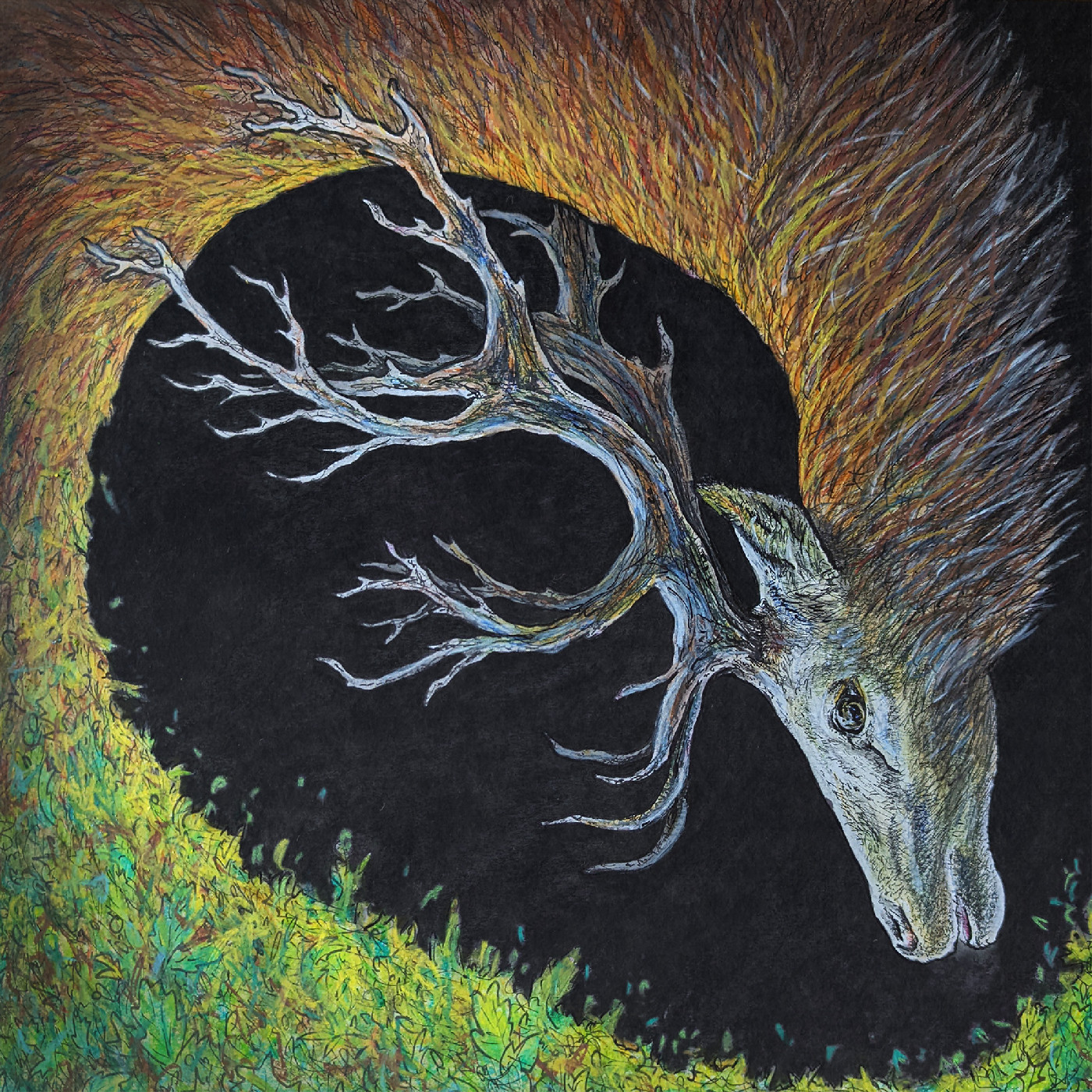 Petrels Infangthief: Deluxe Edition - LTD (LP)