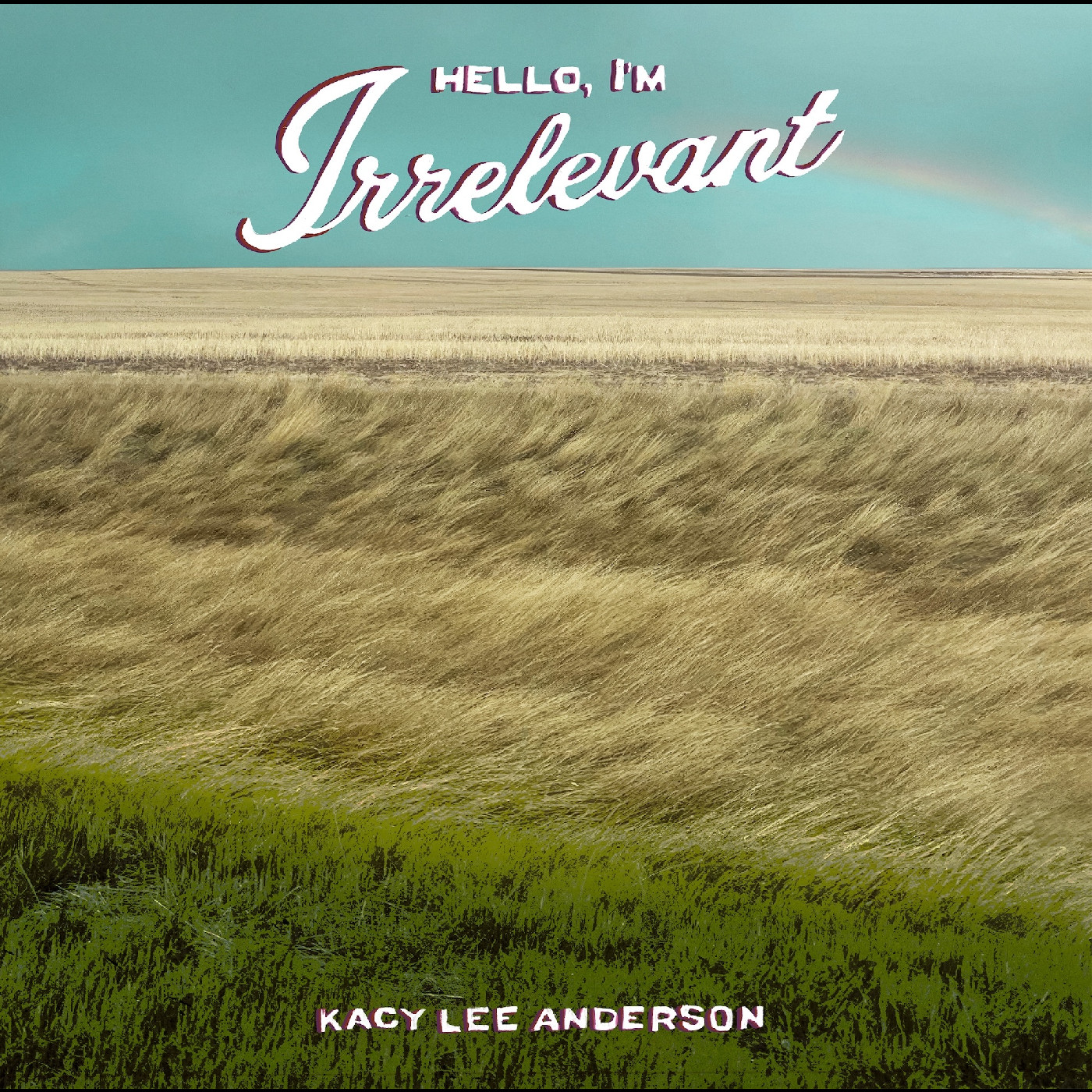 Kacy Lee Anderson Hello, I'm Irrelevant - LTD (LP)