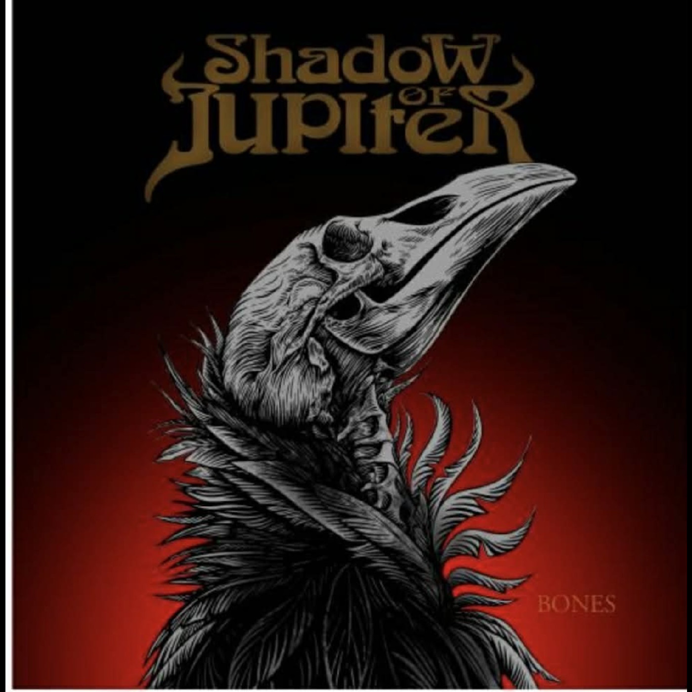 Shadow Of Jupiter Bones (LP)