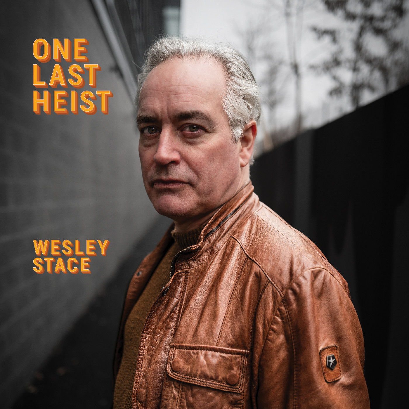 Wesley Stace One Last Heist (LP)