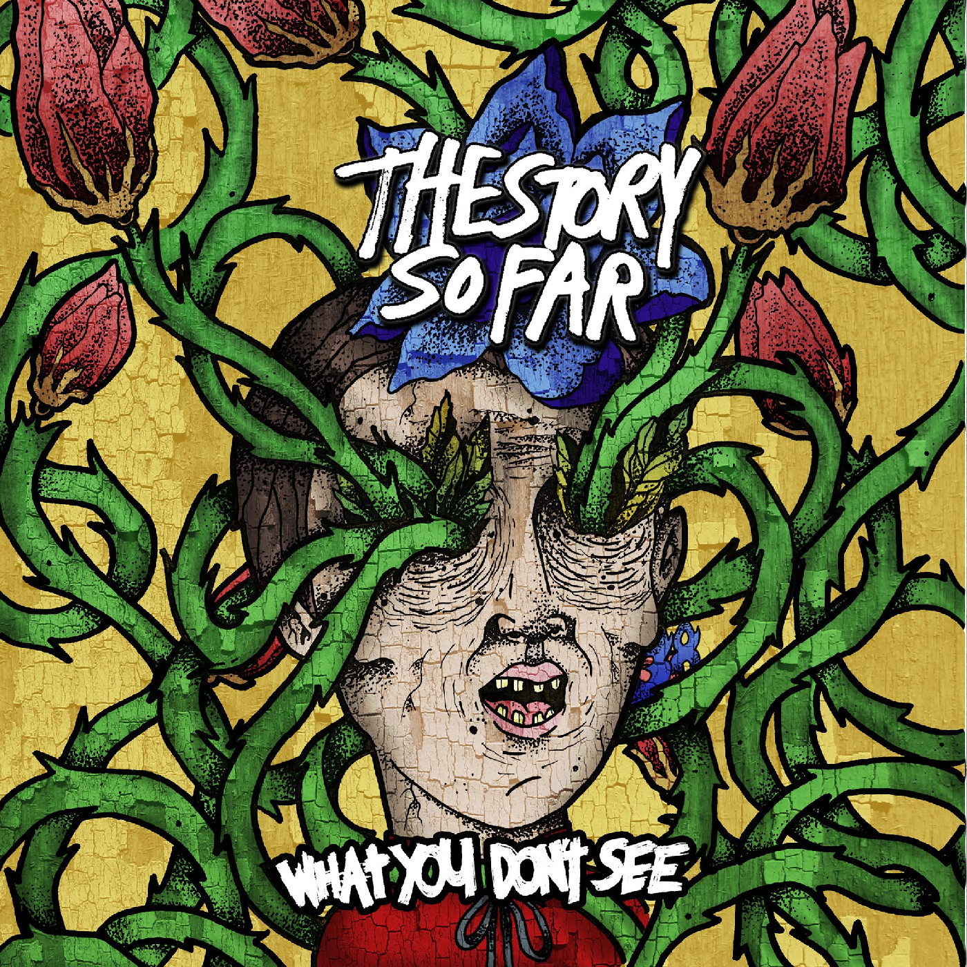 The Story So Far What You Don't See - LTD (LP)