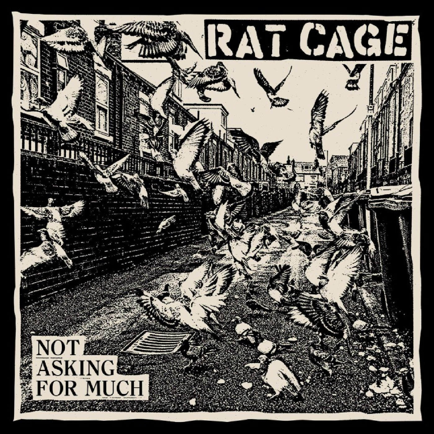 Rat Cage Not Asking For Much (LP)