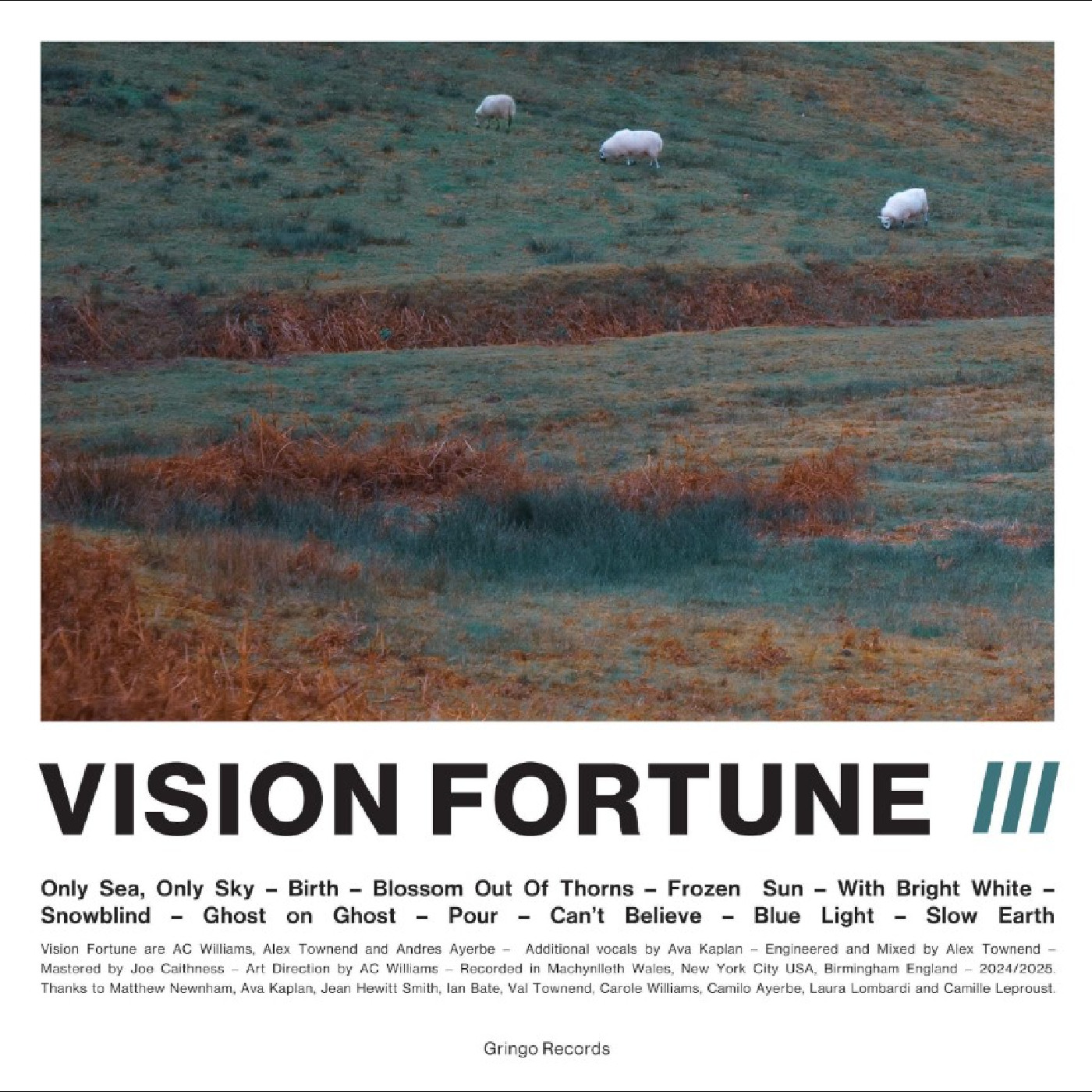Vision Fortune III - LTD (LP)