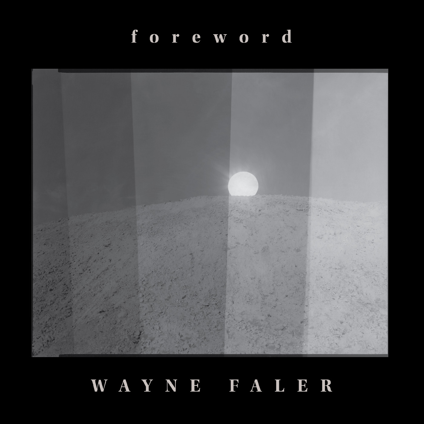 Wayne Faler Foreword - LTD (LP)