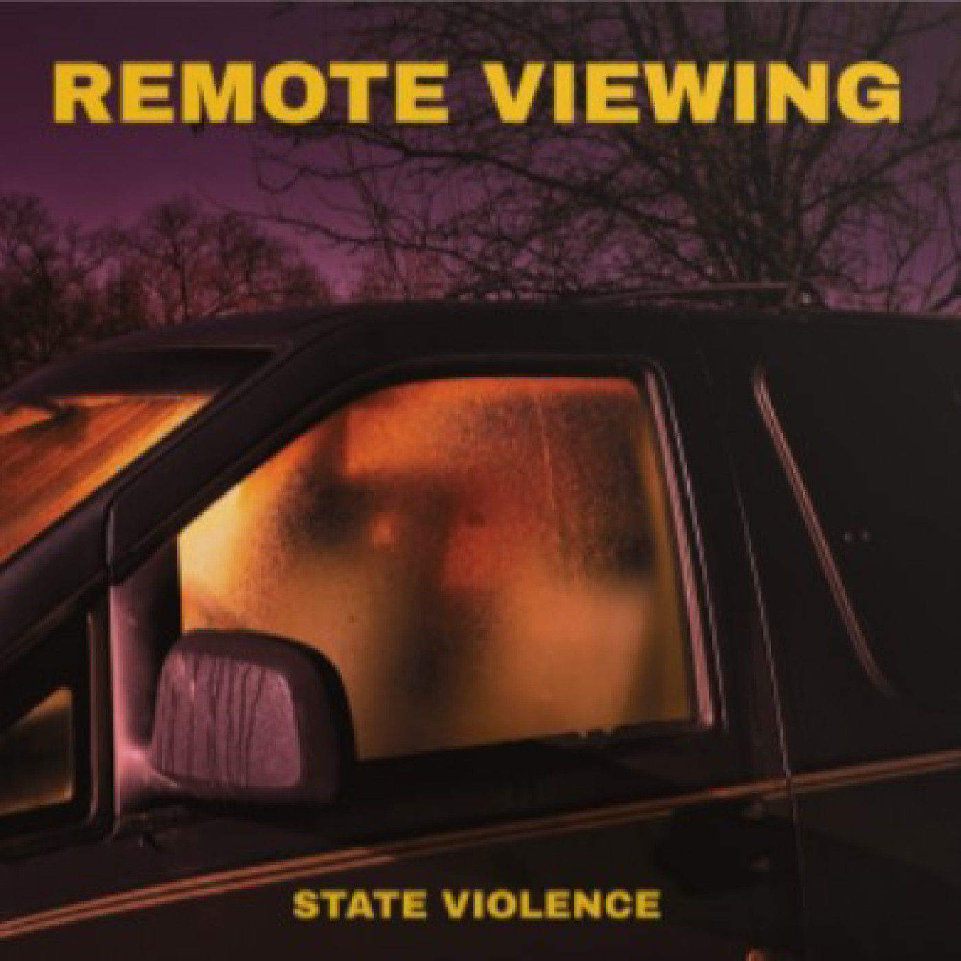 Remote Viewing State Violence - LTD (LP)