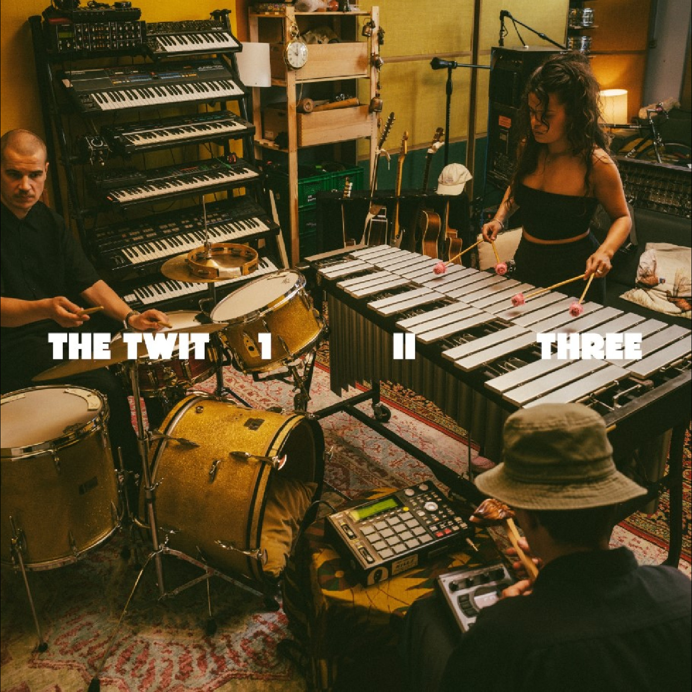 The Twit 1, II, Three The Twit 1, II, Three (LP)