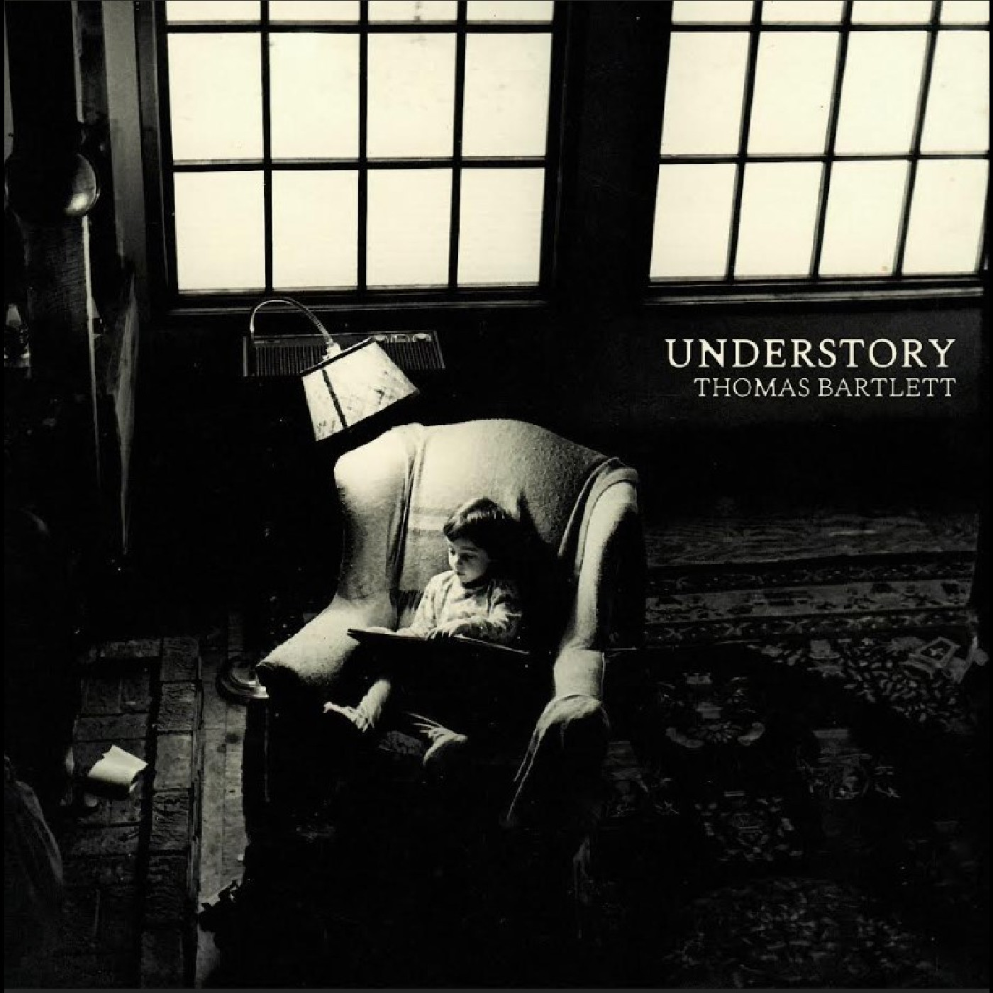 Thomas Bartlett Understory (LP)