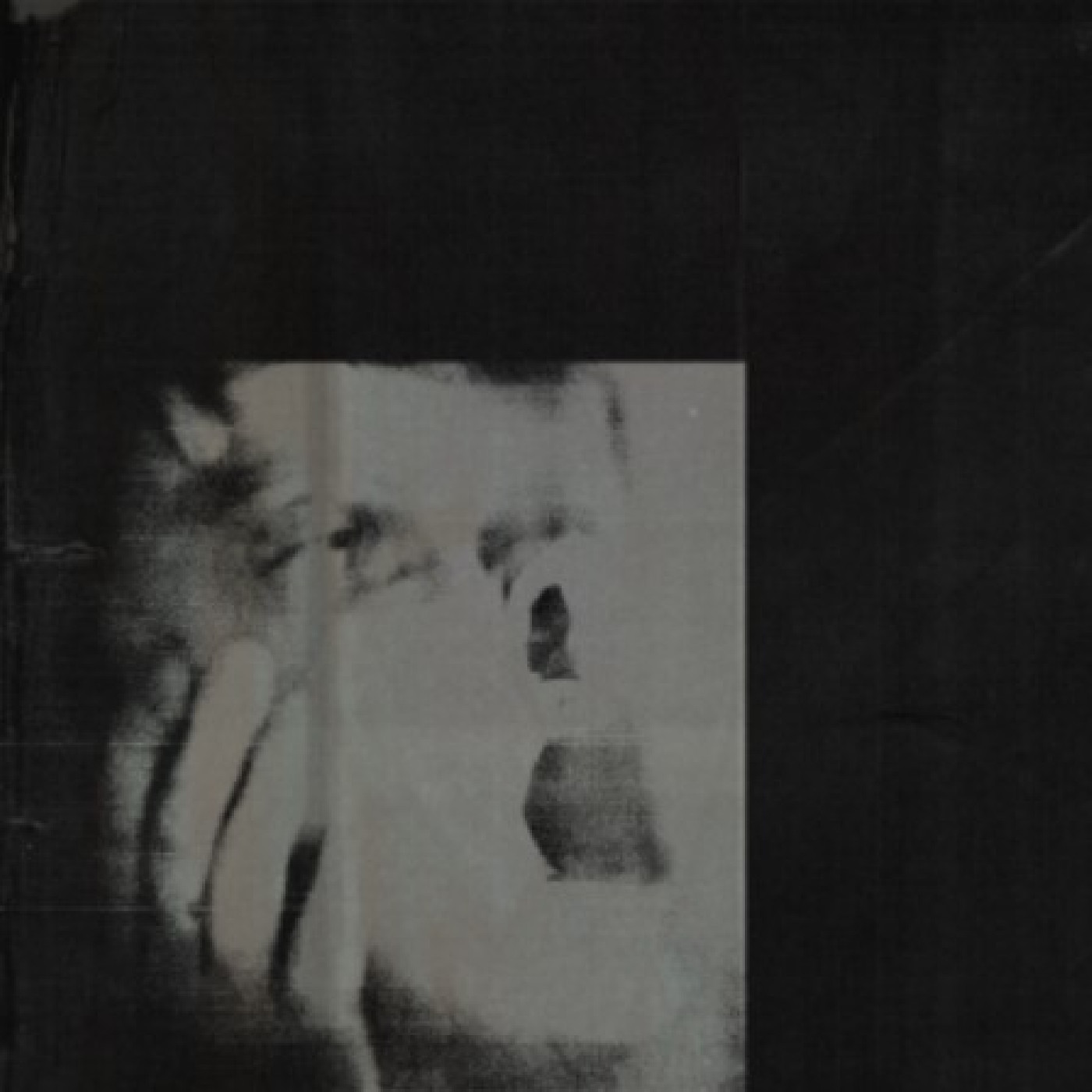 Ditz Never Exhale - LTD (LP)