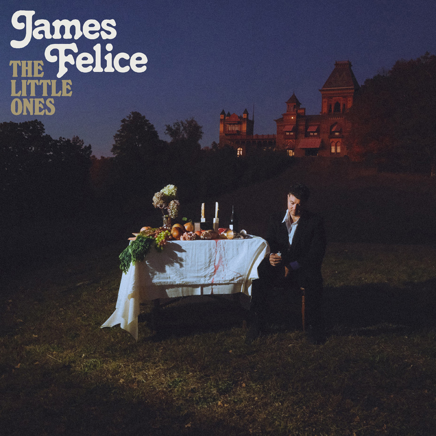 James Felice The Little Ones - LTD (LP)