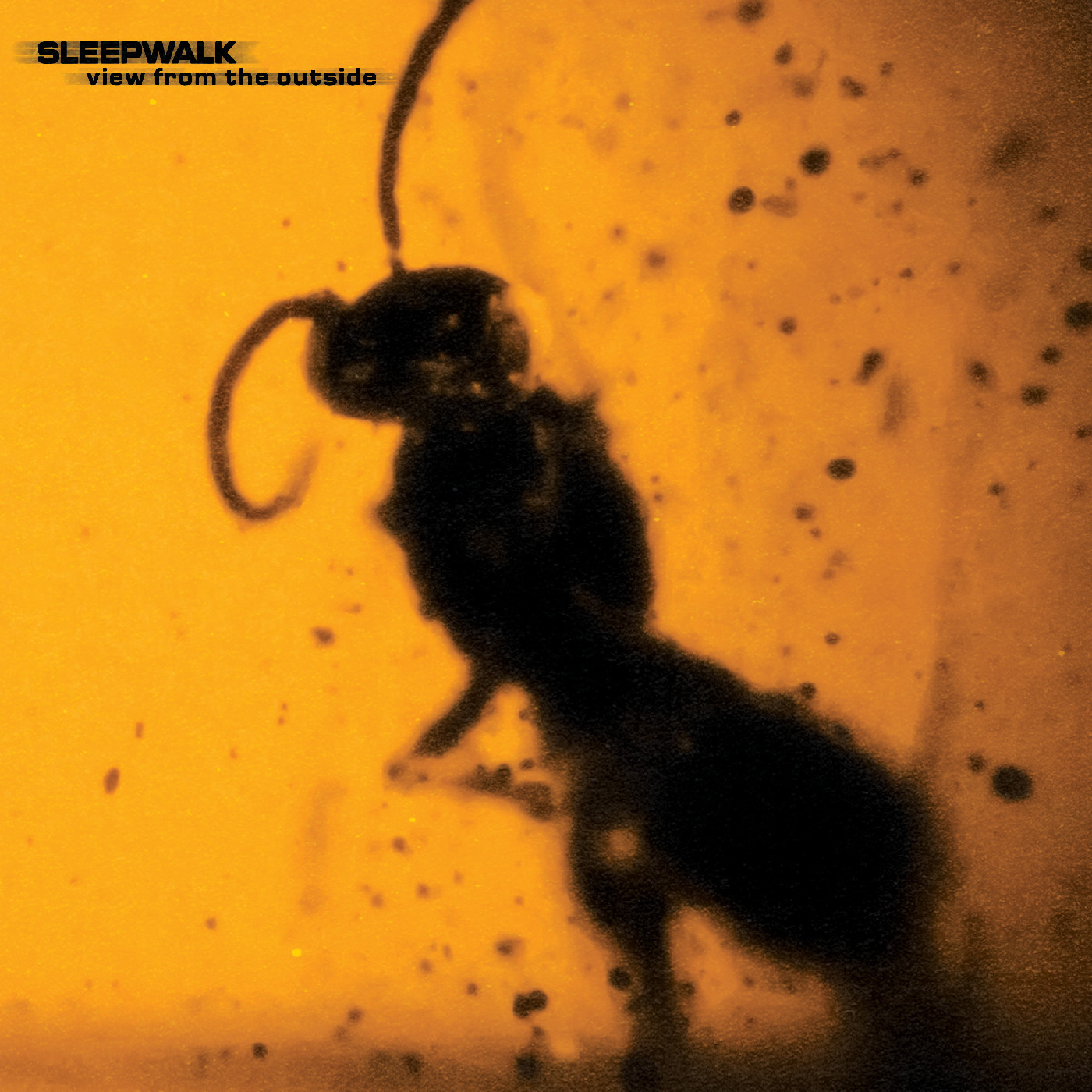 Sleepwalk View From The Outside (LP)