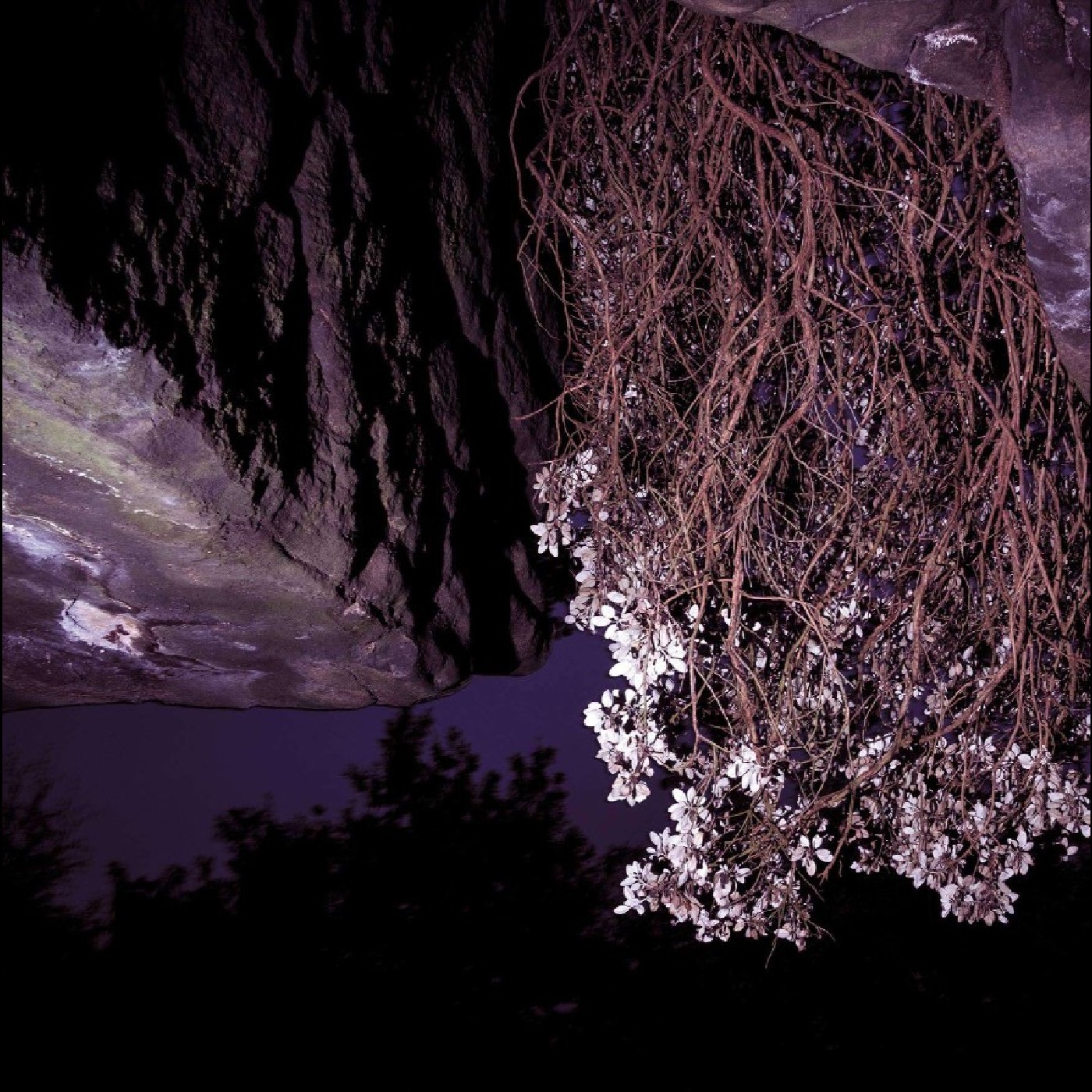 Kogumaza You Found Yourself Where You Found… (LP)