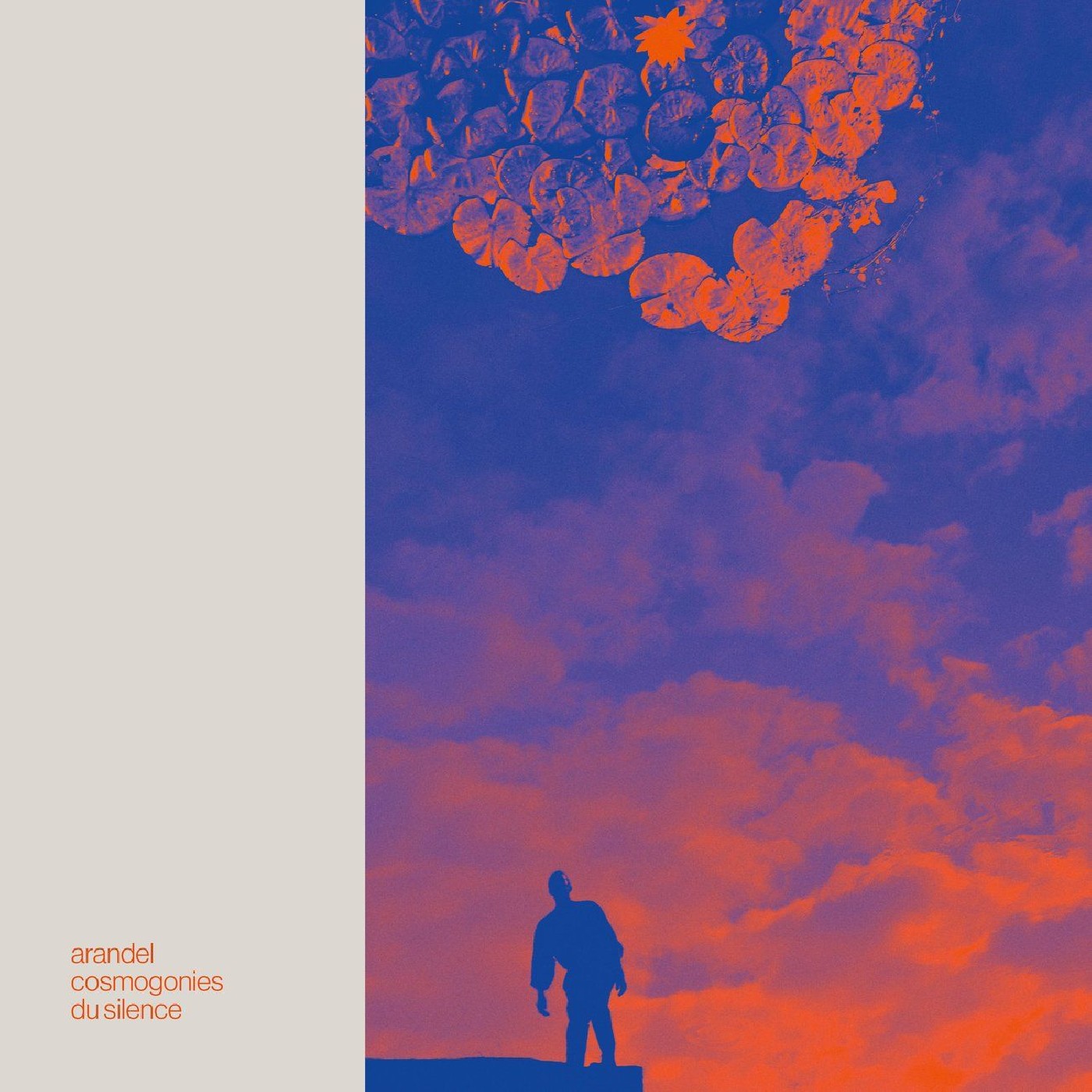 Arandel Cosmogonies Du Silence - LTD (LP)